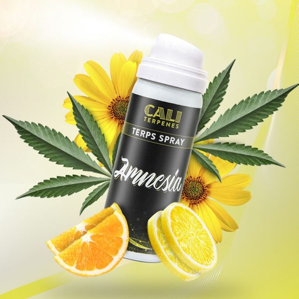 CALI TERPENES - Terps Spray Amnesia 5 ml 1